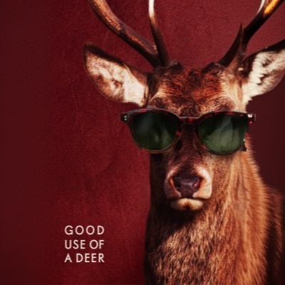 GOOD-USE-OF-A-DEER