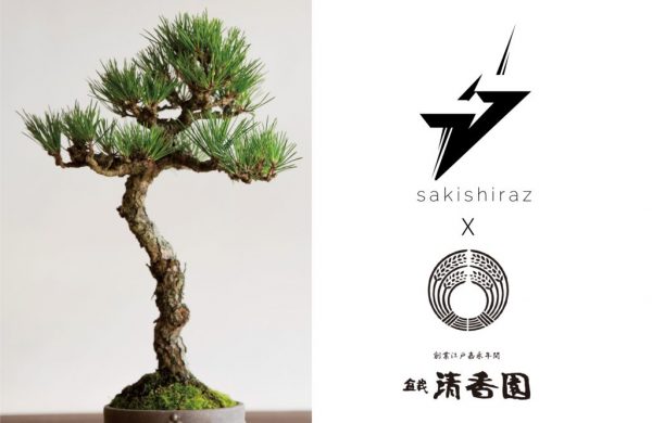 bonsai