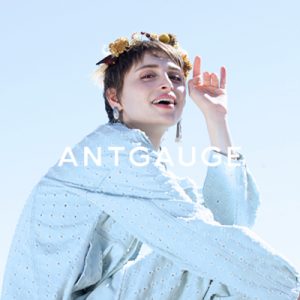 antgauge